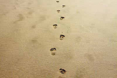 Les démarches pour labelliser son bilan carbone