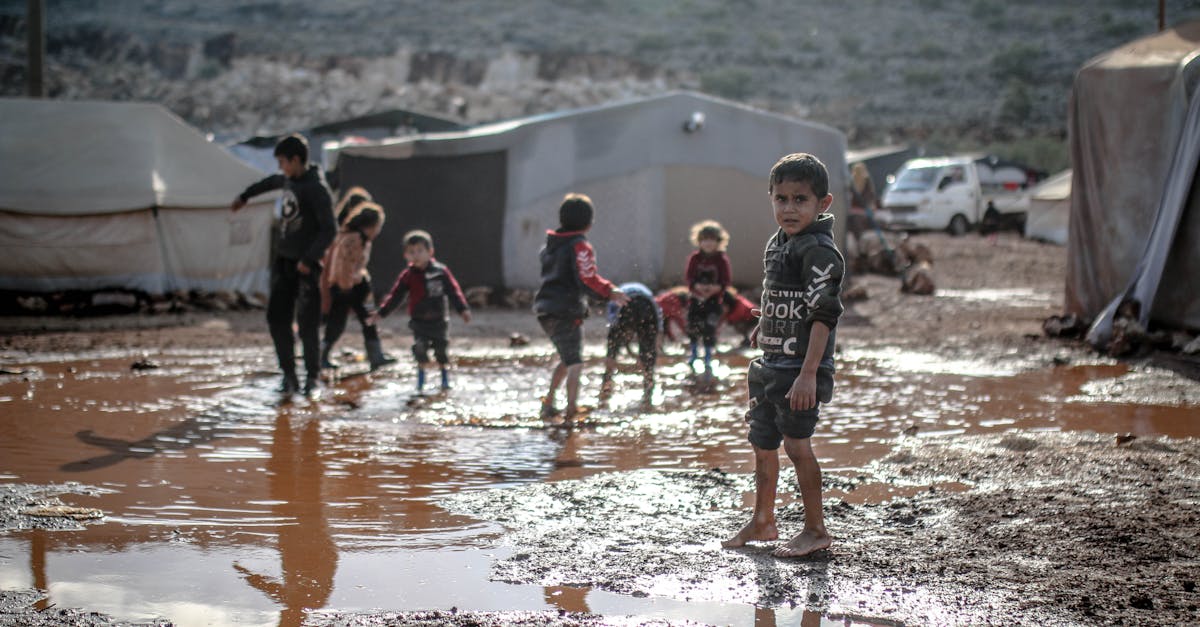 Voies vers la résilience : Construire un avenir solide face aux défis