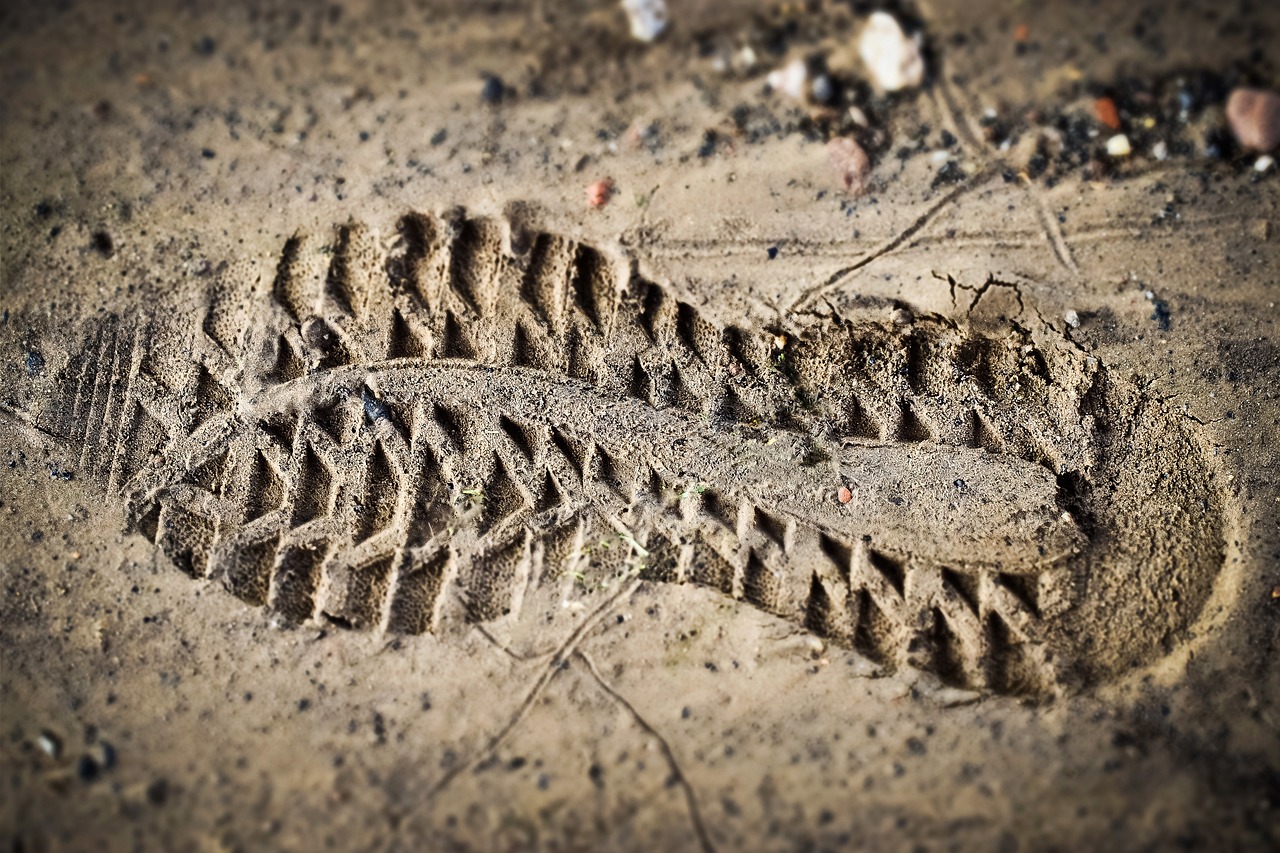 découvrez ce qu'est l'empreinte carbone, son impact sur l'environnement et les stratégies pour la réduire. apprenez à évaluer votre empreinte carbone et à contribuer à un avenir plus durable.