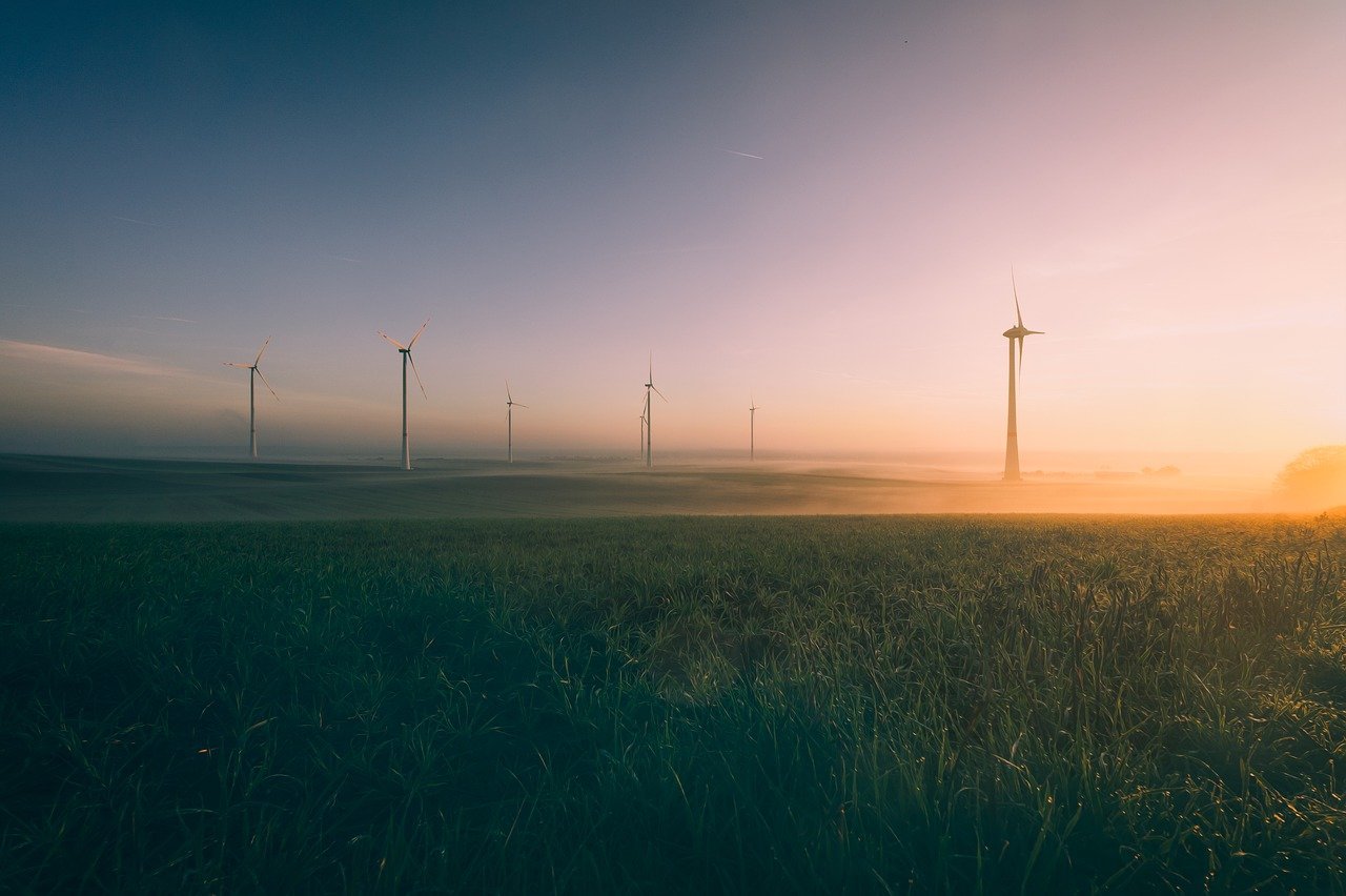 découvrez comment la transition écologique façonne notre avenir en adoptant des pratiques durables, en préservant notre planète et en favorisant un mode de vie respectueux de l'environnement. explorez les enjeux, les solutions et les initiatives clés pour un monde plus vert.