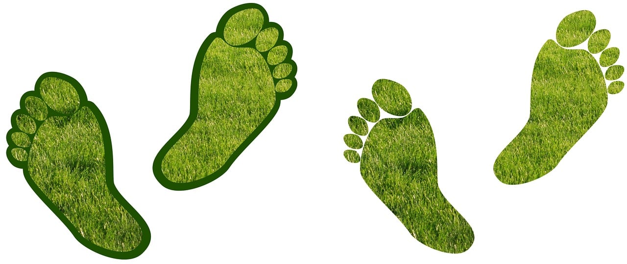 découvrez notre logiciel de gestion de l'empreinte carbone, conçu pour aider les entreprises à mesurer, analyser et réduire leur impact environnemental. optimisez vos opérations tout en contribuant à la protection de la planète.