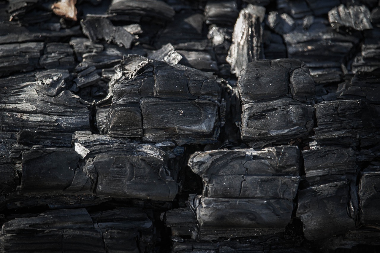 découvrez tout sur l'empreinte carbone, son impact sur l'environnement et les moyens de la réduire pour un avenir durable. informez-vous sur les actions individuelles et collectives à entreprendre pour lutter contre le changement climatique.