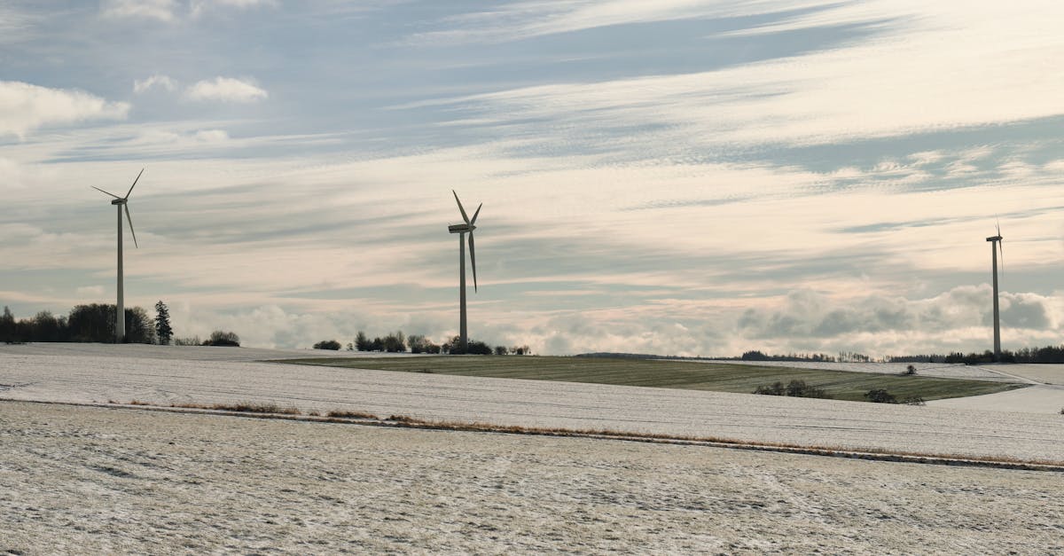 découvrez comment réduire votre empreinte carbone pour un avenir plus durable. explorez des conseils pratiques, des solutions écologiques et des informations sur l'impact de vos choix quotidiens sur l'environnement.