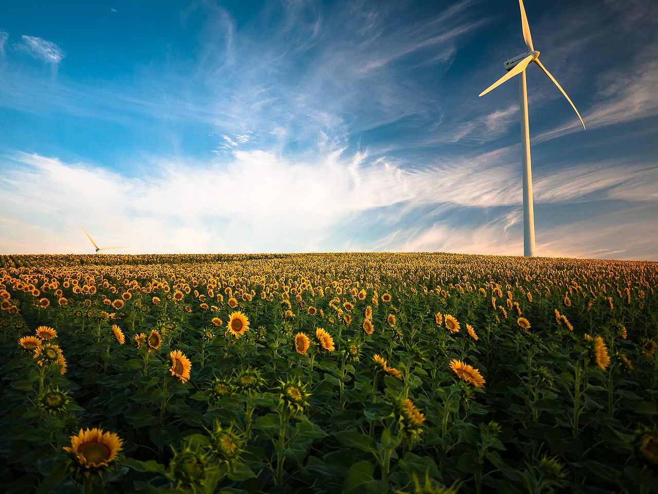 découvrez les avantages des énergies renouvelables, des solutions durables pour un avenir respectueux de l'environnement. explorez les différentes sources d'énergie renouvelable, leur impact sur la planète et comment elles peuvent contribuer à réduire votre empreinte carbone.