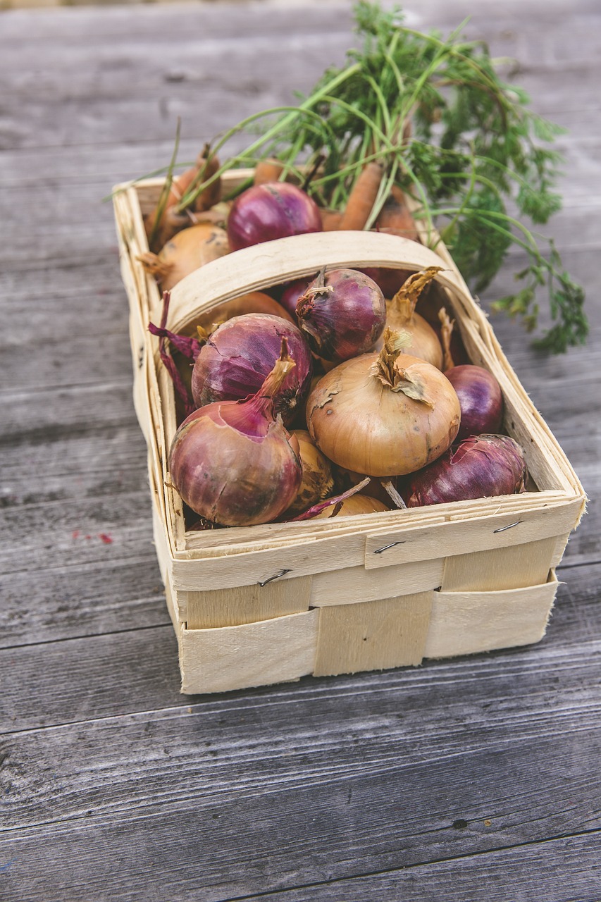 découvrez des aliments durables qui allient santé et respect de l'environnement. adoptez une alimentation écoresponsable et savourez des produits issus d'une agriculture durable pour un avenir meilleur.