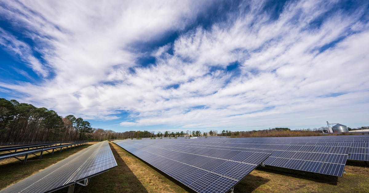 découvrez l'empreinte carbone et son impact sur l'environnement. apprenez à réduire votre impact écologique grâce à des conseils pratiques et des stratégies durables pour un avenir plus vert.