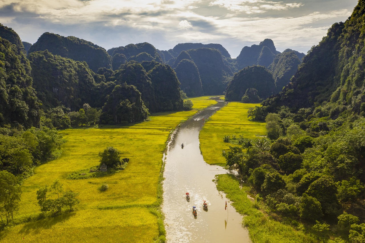 découvrez le monde des ong (organisations non gouvernementales) et leur impact sur les sociétés. apprenez comment elles œuvrent pour le bien-être des communautés, la protection de l'environnement et la promotion des droits humains à travers le globe.