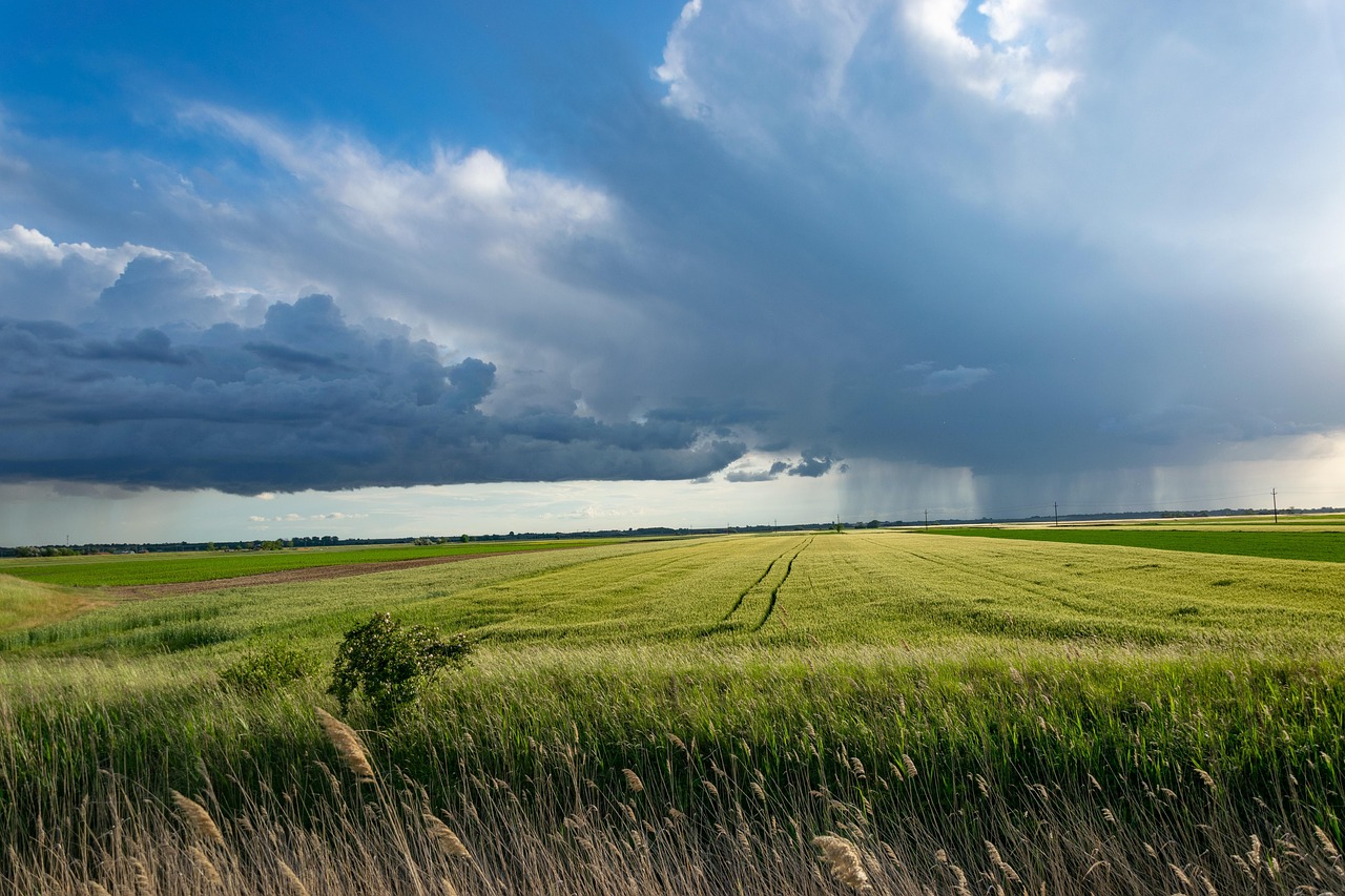 découvrez l'univers de l'agriculture : de la culture des champs aux innovations technologiques, explorez les pratiques durables, les défis du secteur et l'importance de l'agriculture pour notre avenir.