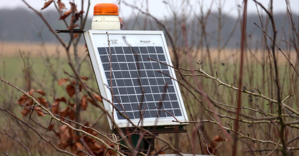 découvrez tout sur l'empreinte carbone : son impact sur l'environnement, les moyens de la réduire et les stratégies pour un mode de vie plus durable. engagez-vous pour un avenir écologique dès aujourd'hui.