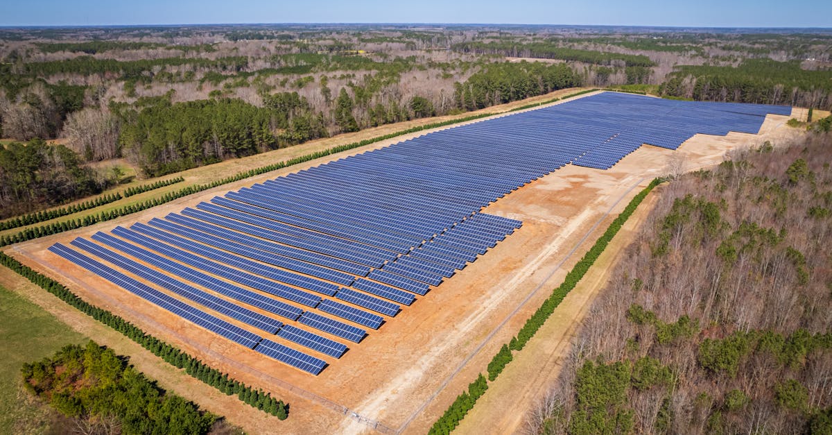 découvrez tout sur l'empreinte carbone : son impact sur l'environnement, les moyens de la réduire, et les initiatives écologiques à adopter pour un avenir durable.