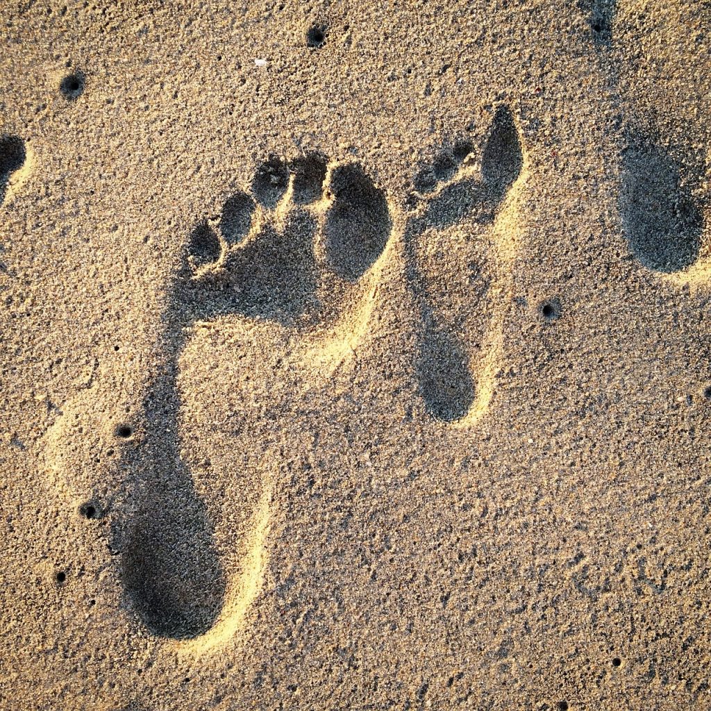 découvrez l'empreinte carbone, un indicateur essentiel de l'impact environnemental des activités humaines. apprenez comment la mesurer, la réduire et contribuer à un avenir plus durable.