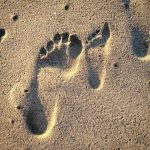découvrez l'empreinte carbone, un indicateur essentiel de l'impact environnemental des activités humaines. apprenez comment la mesurer, la réduire et contribuer à un avenir plus durable.