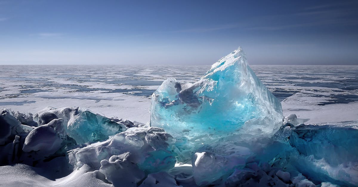 découvrez les enjeux majeurs du changement climatique, ses impacts sur notre planète et les actions à entreprendre pour un avenir durable. informez-vous sur les solutions et les gestes quotidiens pour préserver notre environnement.