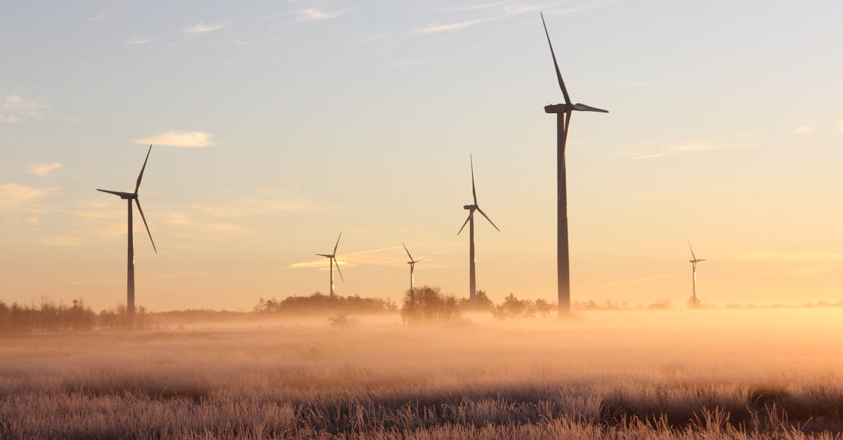 découvrez l'importance de la durabilité pour un avenir responsable. explorez des pratiques écologiques, des initiatives innovantes et des conseils pour adopter un mode de vie durable dans votre quotidien.