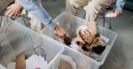 découvrez des solutions innovantes et durables en gestion des déchets pour contribuer à un environnement plus propre. informez-vous sur les meilleures pratiques pour réduire, réutiliser et recycler efficacement les déchets.