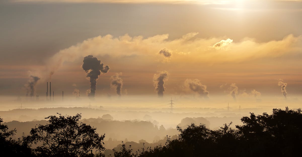 découvrez l'impact de la pollution de l'air sur notre santé et notre environnement. informez-vous sur les causes, les effets et les solutions pour lutter contre cette problématique mondiale. protégeons notre planète et améliorons notre qualité de vie.