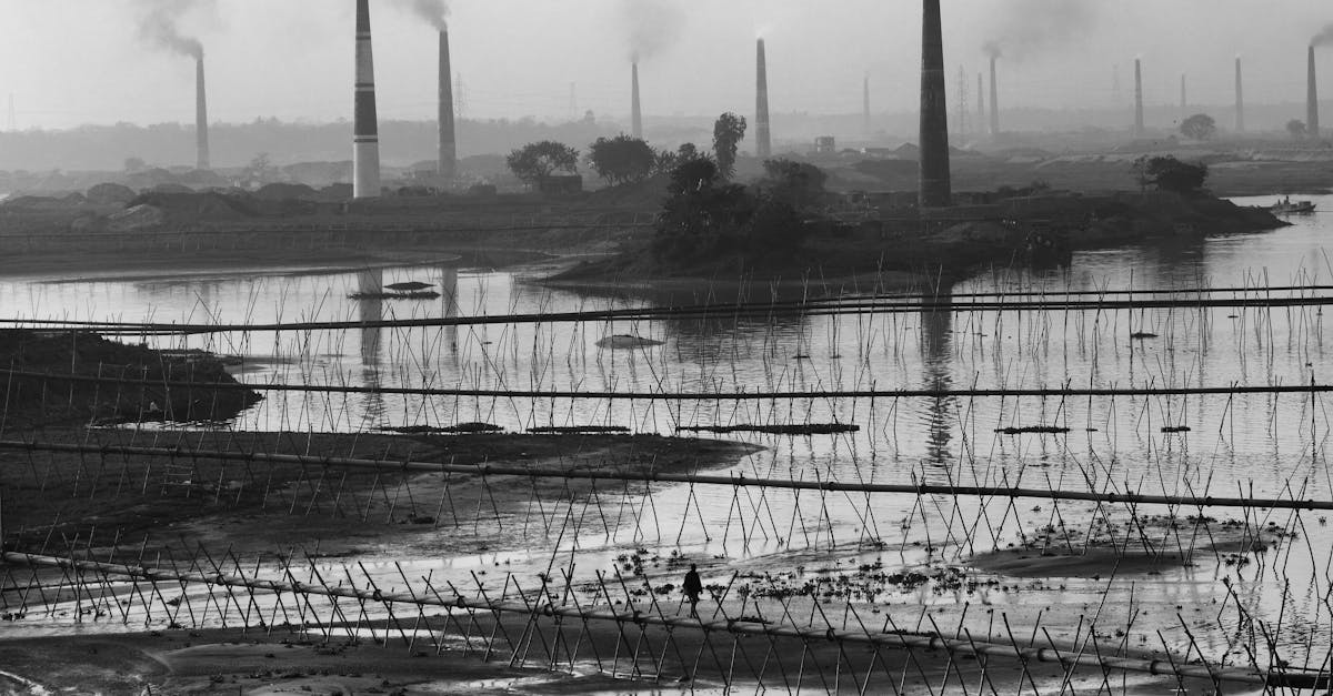 découvrez les impacts de la pollution de l'air sur la santé et l'environnement. informez-vous sur les causes, les effets et les solutions pour un air pur et une meilleure qualité de vie.