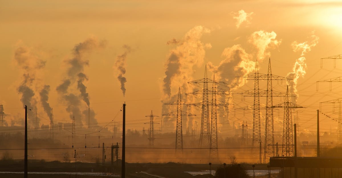 découvrez les enjeux du changement climatique, ses impacts sur notre planète et les solutions durables pour un avenir meilleur. informez-vous sur les actions à entreprendre pour lutter contre ce phénomène qui menace notre environnement.