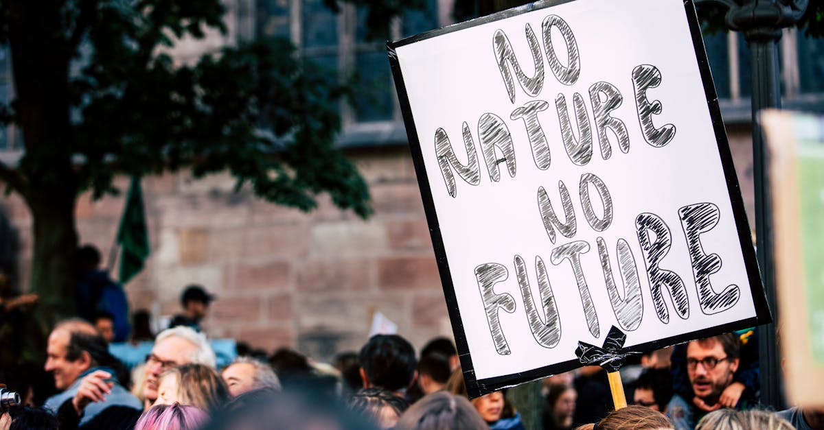découvrez l'impact du changement climatique sur notre planète, ses causes, ses conséquences et les actions que nous pouvons entreprendre pour protéger l'environnement et assurer un avenir durable.