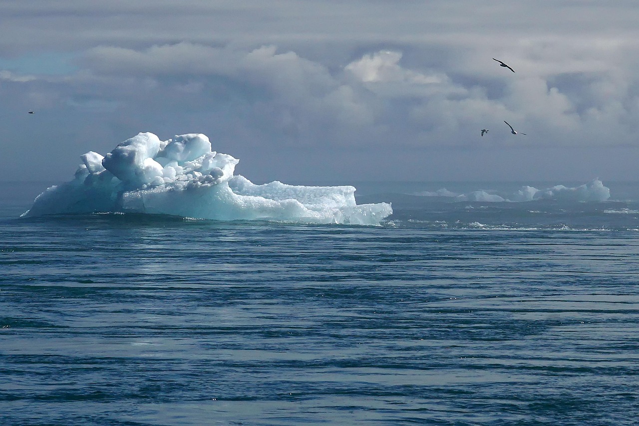 découvrez notre plan climatique ambitieux, visant à réduire les émissions de carbone, promouvoir les énergies renouvelables et encourager un mode de vie durable pour protéger notre planète pour les générations futures.