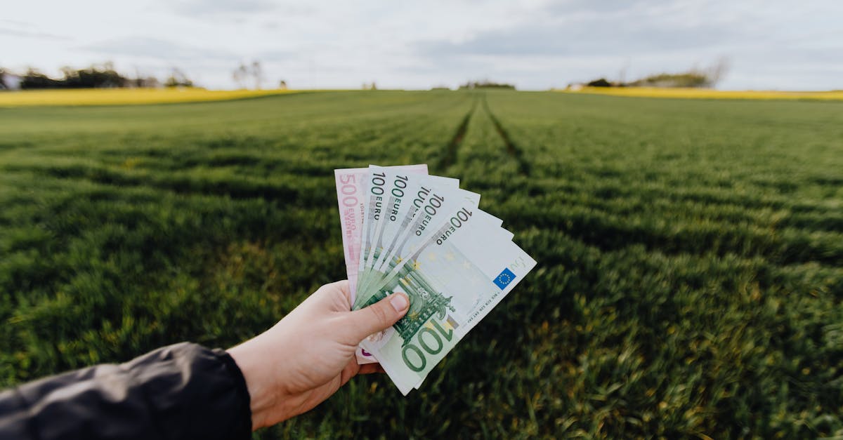 découvrez comment les investissements verts peuvent non seulement favoriser la durabilité environnementale mais aussi générer des rendements financiers. explorez des opportunités d'investissement responsable et contribuez à un avenir plus écologique.