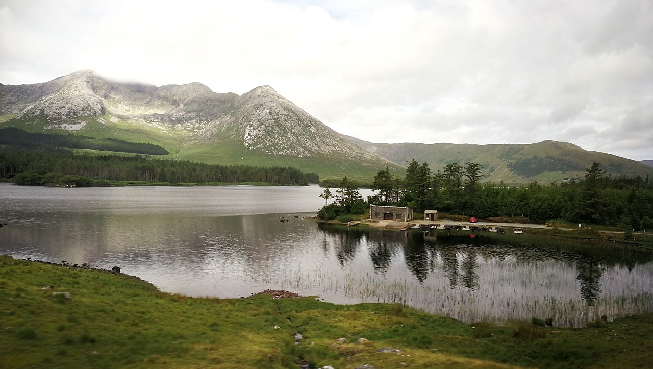 découvrez l'importance des tourbières, ces écosystèmes uniques qui jouent un rôle crucial dans la biodiversité et le stockage du carbone. apprenez comment leur préservation contribue à la lutte contre le changement climatique et à la protection de la faune.