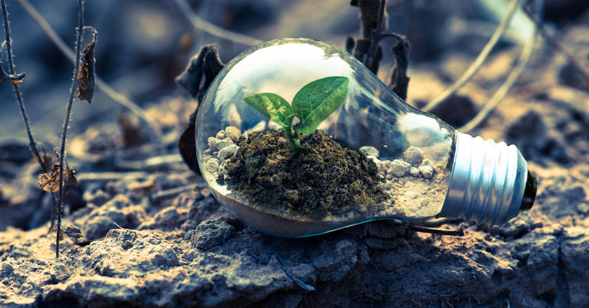 découvrez les enjeux et les avantages des énergies renouvelables, solutions durables pour un avenir plus vert et respectueux de l'environnement. informez-vous sur les différentes sources d'énergie renouvelable et leur impact positif sur notre planète.