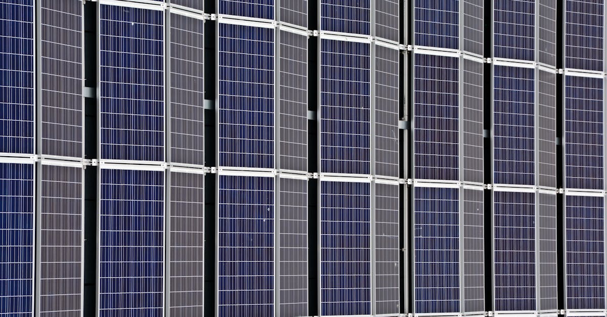 découvrez les enjeux de la durabilité et comment adopter des pratiques écologiques pour préserver notre planète. explorez des solutions innovantes pour un avenir durable.