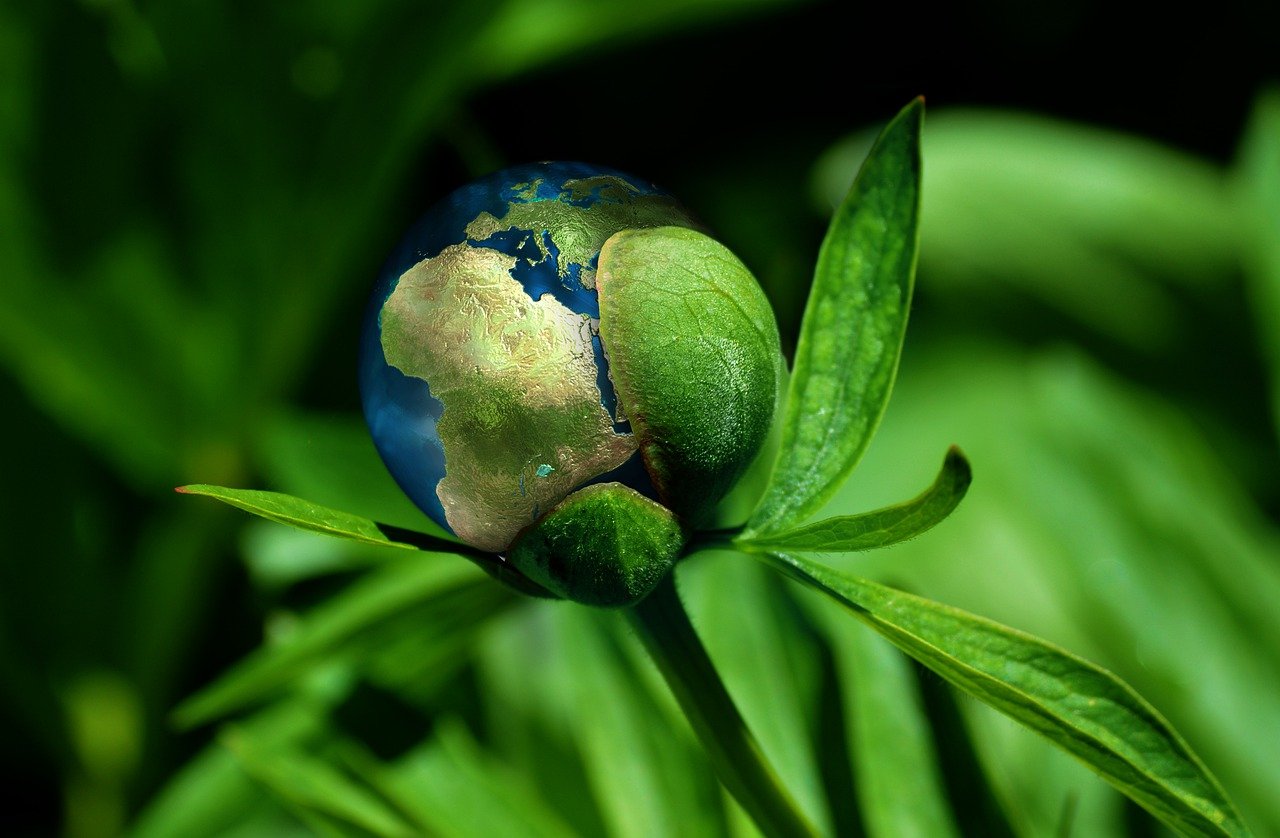 découvrez les enjeux de la durabilité et comment adopter des pratiques écoresponsables pour préserver notre planète. explorez des solutions innovantes pour un avenir durable.