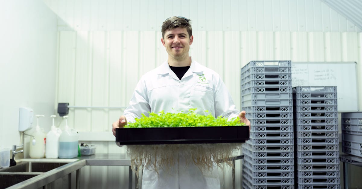 découvrez l'agriculture durable : une approche innovante visant à protéger l'environnement tout en assurant une production alimentaire responsable. explorez les méthodes écologiques, les avantages pour la santé et l'impact positif sur les communautés agricoles.