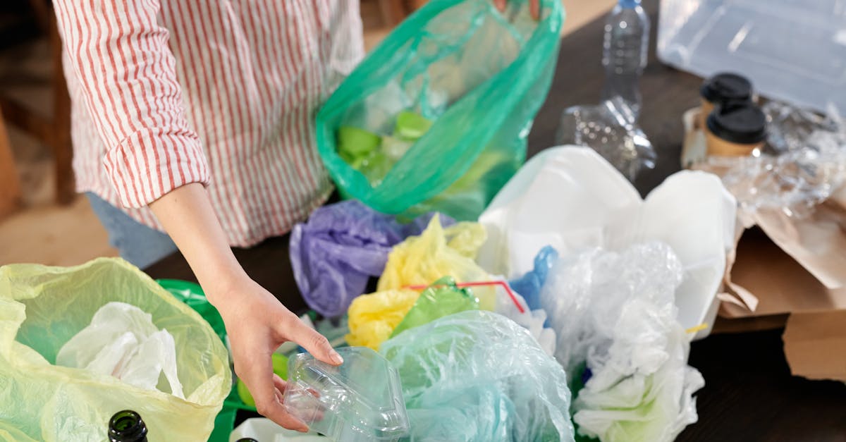 découvrez des pratiques durables qui préservent notre planète tout en améliorant votre quotidien. apprenez à adopter des gestes écoresponsables dans votre vie, de la consommation à l'énergie, et contribuez à un avenir plus vert.