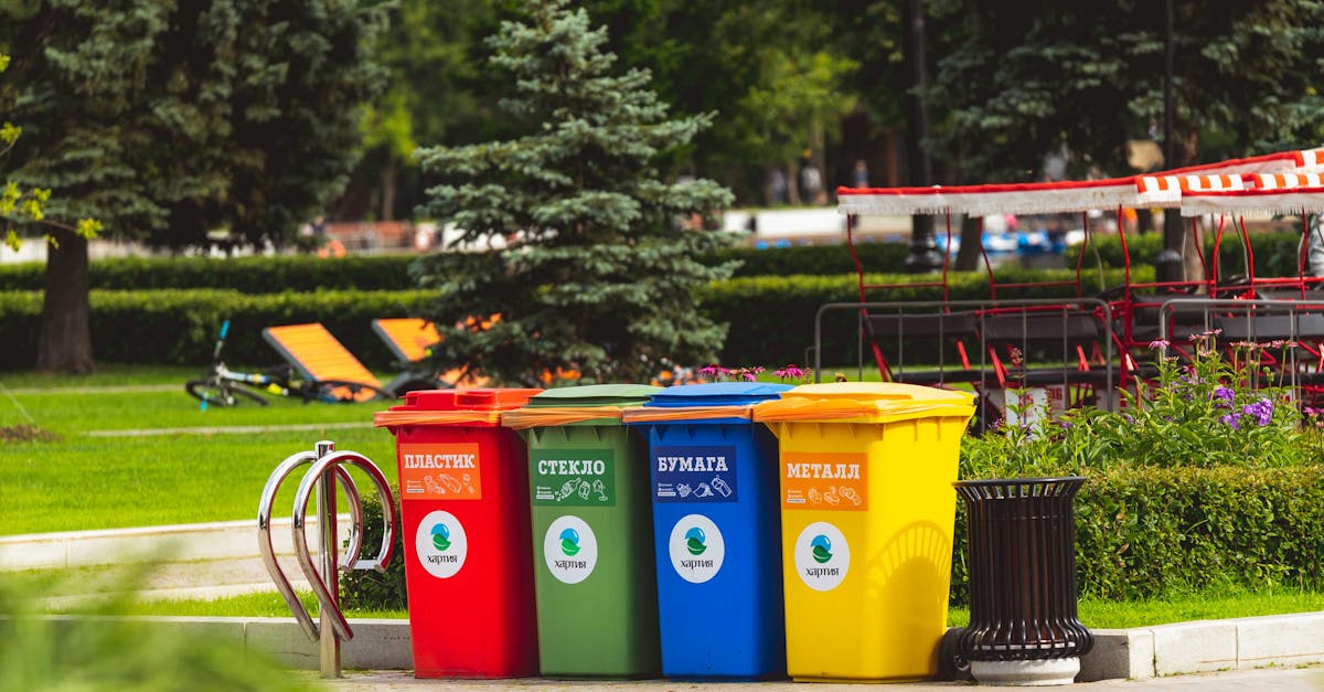 découvrez des solutions innovantes et durables pour la gestion des déchets. optimisez le recyclage, réduisez votre empreinte écologique et participez à un avenir plus propre grâce à nos conseils et stratégies de gestion des déchets.