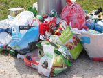 découvrez l'impact environnemental des activités humaines et comment nous pouvons agir pour protéger notre planète. explorez les enjeux écologiques, les solutions durables et les initiatives pour un avenir plus vert.