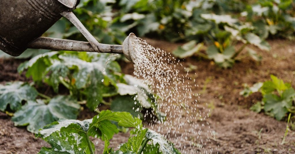 découvrez les enjeux de la durabilité rurale, un concept clé pour allier développement économique, préservation de l'environnement et bien-être des communautés. explorez des solutions innovantes et des pratiques responsables pour un avenir rural durable.