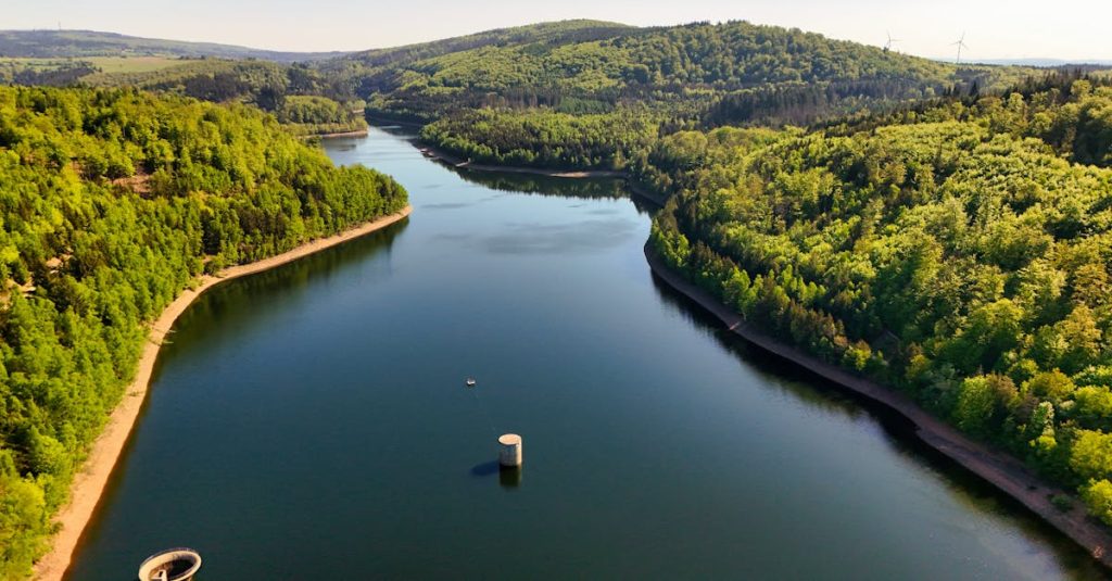découvrez les meilleures pratiques de préservation pour protéger notre planète et ses ressources. apprenez comment agir pour la conservation de l'environnement, la biodiversité et le développement durable.