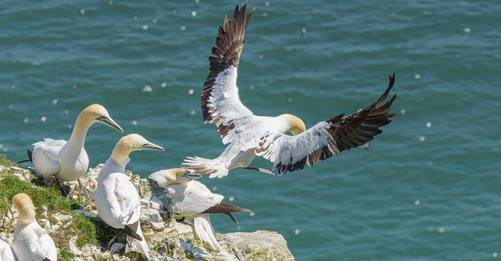 découvrez les indicateurs environnementaux, des outils essentiels pour évaluer la santé de notre planète. apprenez comment ces mesures aident à surveiller la biodiversité, la qualité de l'air et de l'eau, et à promouvoir des pratiques durables pour un avenir meilleur.