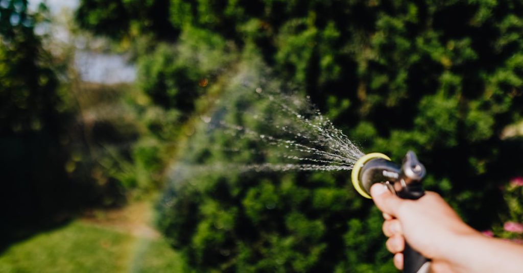 découvrez l'art du jardinage durable : apprenez à cultiver votre jardin en respectant l'environnement, en utilisant des techniques écologiques et en préservant la biodiversité. adoptez des pratiques qui favorisent la durabilité tout en produisant des plantes et des récoltes saines.