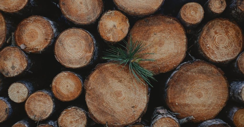 découvrez comment une gestion durable des ressources peut transformer nos pratiques et garantir un avenir équilibré pour notre planète. explorez des stratégies innovantes pour optimiser l'utilisation des ressources naturelles tout en préservant l'environnement.