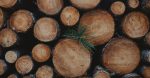découvrez comment une gestion durable des ressources peut transformer nos pratiques et garantir un avenir équilibré pour notre planète. explorez des stratégies innovantes pour optimiser l'utilisation des ressources naturelles tout en préservant l'environnement.