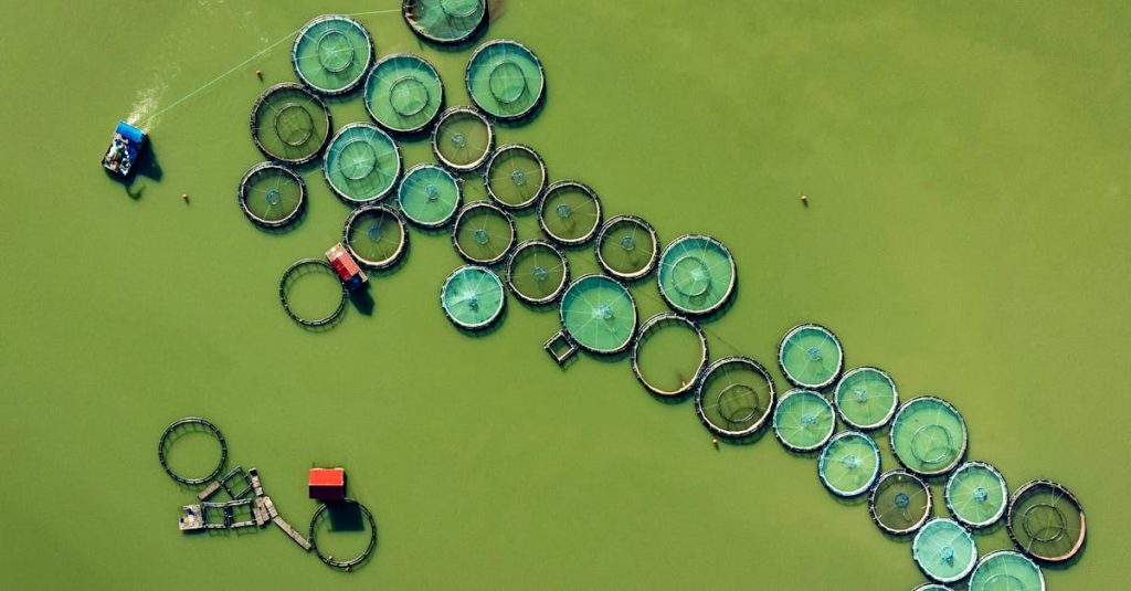 découvrez l'importance et la diversité des ressources naturelles, essentielles pour notre environnement et notre économie. explorez les types de ressources, leur gestion durable et leur impact sur notre planète.