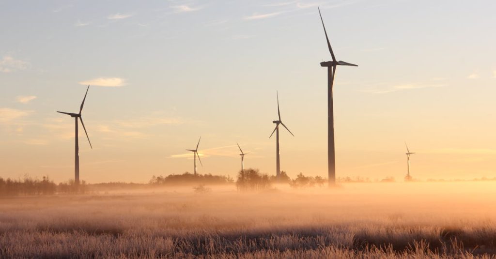 découvrez comment la durabilité façonne notre avenir. explorez des stratégies et des pratiques pour réduire notre empreinte écologique tout en préservant les ressources de notre planète. engagez-vous pour un monde plus vert.