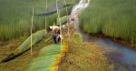 découvrez comment l'économie des écosystèmes transforme les modèles commerciaux et promeut la durabilité. explorez l'importance de la biodiversité, les synergies entre acteurs et les nouvelles opportunités économiques au sein d'un système interconnecté, favorisant une croissance responsable.