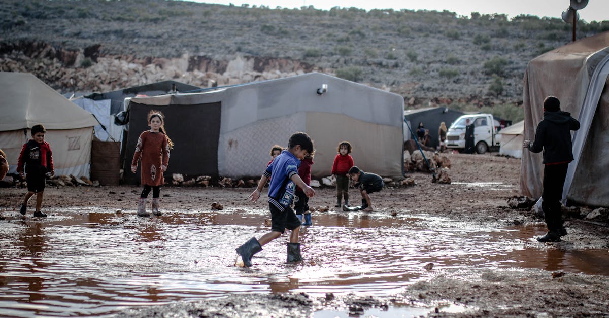 découvrez l'importance de l'éducation climatique pour sensibiliser et agir face aux enjeux environnementaux. apprenez comment intégrer des pratiques durables et développer une conscience écologique à travers des programmes éducatifs accessibles à tous.