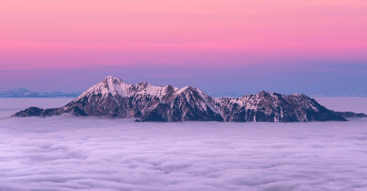 découvrez comment les partenariats climatiques favorisent la collaboration entre nations, entreprises et communautés pour lutter contre le changement climatique et promouvoir un développement durable.