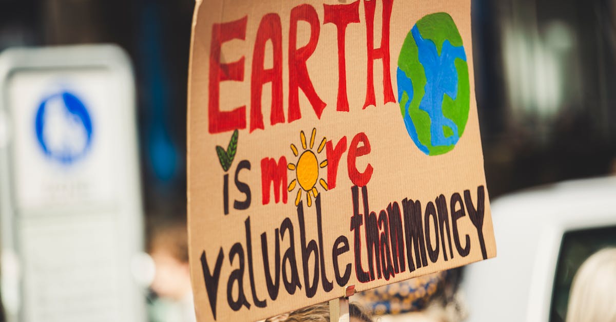 découvrez notre engagement écologique : des actions concrètes pour un avenir durable, des initiatives vertes et des solutions innovantes pour protéger notre planète et promouvoir un mode de vie respectueux de l'environnement.