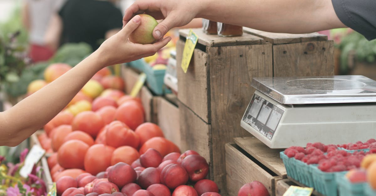 découvrez les enjeux de la durabilité rurale, une approche essentielle pour protéger nos écosystèmes, promouvoir des pratiques agricoles responsables et soutenir les communautés locales. explorez comment les initiatives de durabilité transforment les zones rurales en modèles de résilience et d'innovation.