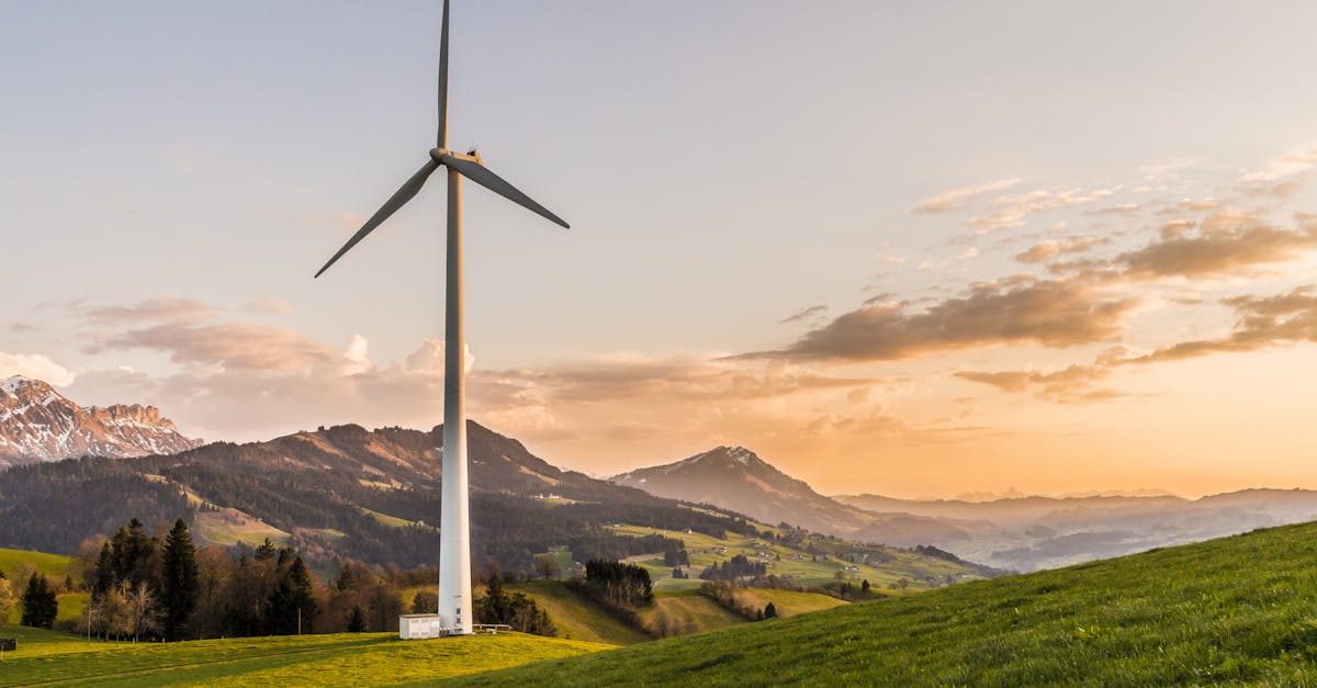 découvrez des stratégies et des initiatives innovantes pour promouvoir la durabilité dans tous les aspects de la vie quotidienne. apprenez comment adopter des pratiques écoresponsables et contribuer à un avenir plus vert.