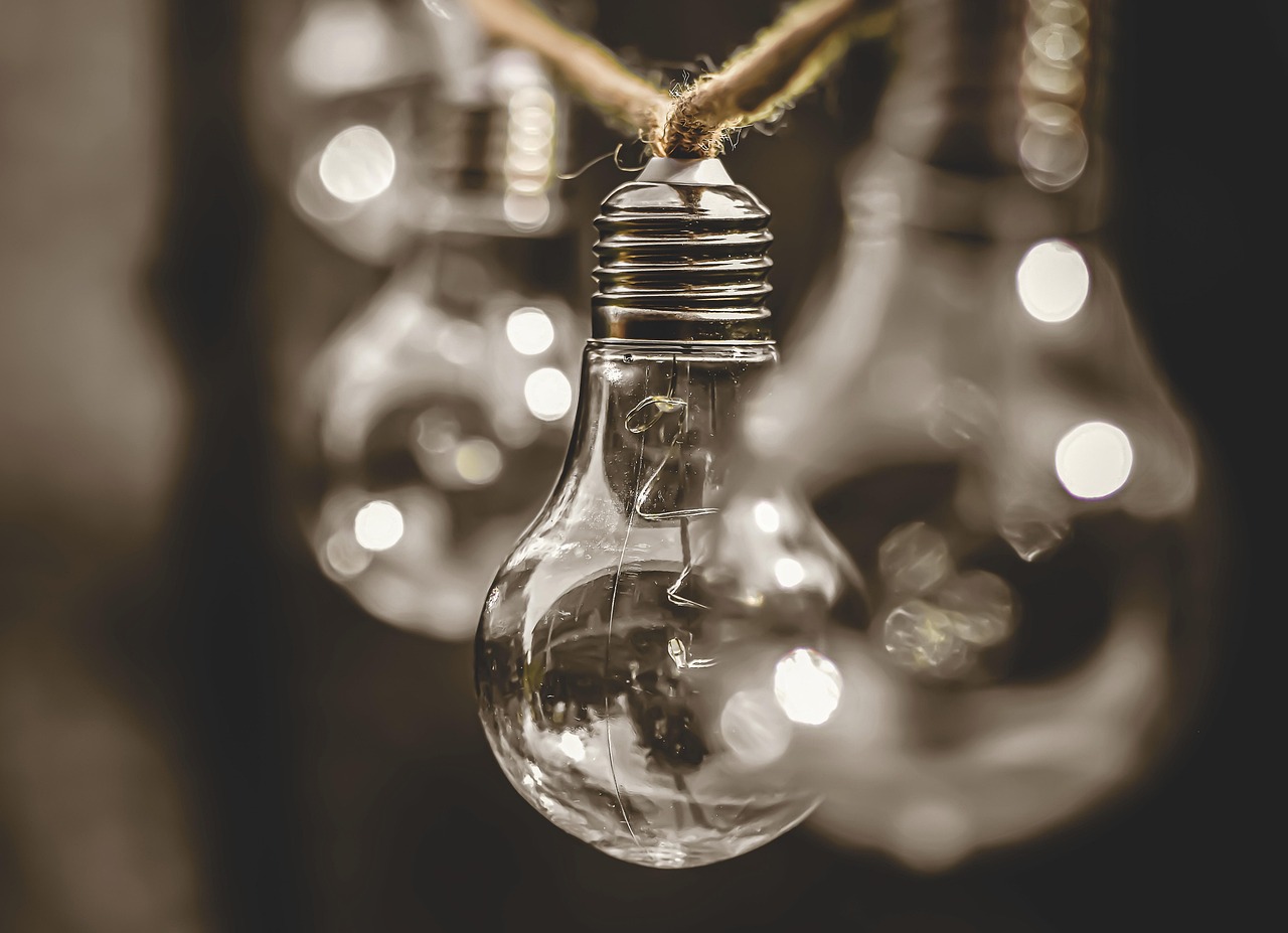 découvrez des solutions innovantes et pratiques pour promouvoir la durabilité. explorez comment des choix responsables peuvent faire la différence pour notre planète et garantir un avenir meilleur pour les générations futures.