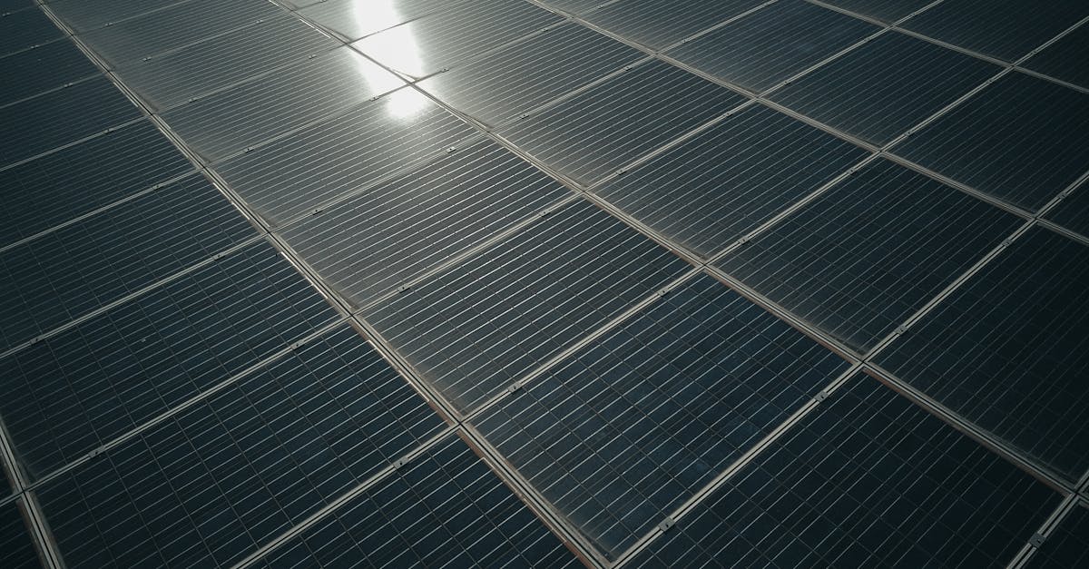 découvrez comment bâtir un avenir durable grâce à des initiatives écologiques, des technologies innovantes et des modes de vie responsables. engagez-vous pour un monde meilleur et préservez notre planète pour les générations futures.