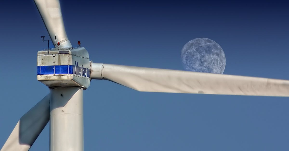 découvrez comment construire un avenir durable grâce à des pratiques respectueuses de l'environnement, des innovations écologiques et des actions collectives qui préservent notre planète pour les générations futures.